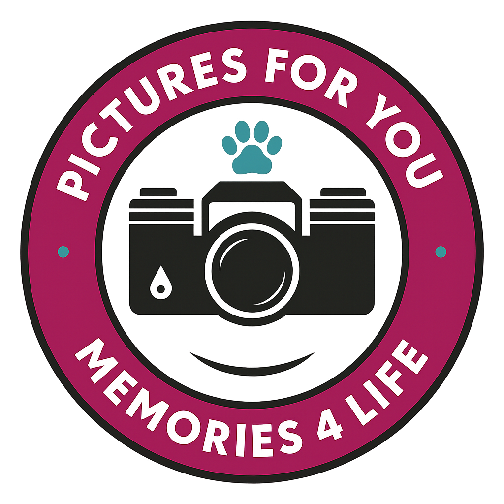 Indoor katten- en hondenfotograaf I regio Ridderkerk I Dierenfotografie